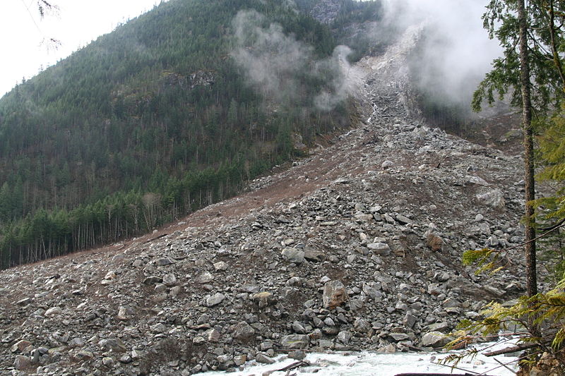a vast amount of rocks have slide down a mountain side, plowing through tress to the ground.