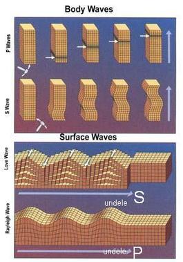 A seismic wave is an elastic wave generated by an impulse such as an earthquake or an explosion. Seismic waves may travel either along or near the earth's surface (Rayleigh and Love waves) or through the earth's interior (P and S waves).