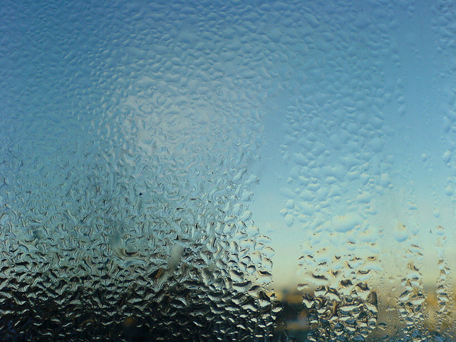 water droplets collected together on a pane of glass