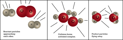 Activated Complex Chemistry For Non Majors Course Hero activated-complex-chemistry-for-non-majors-course-hero