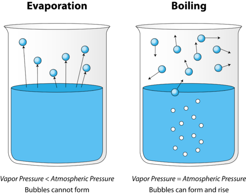 Why Does Water Have A High Boiling Point Than Ethanol