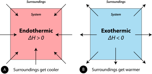 Endothermic reactions absorb heat, while exothermic reactions release heat