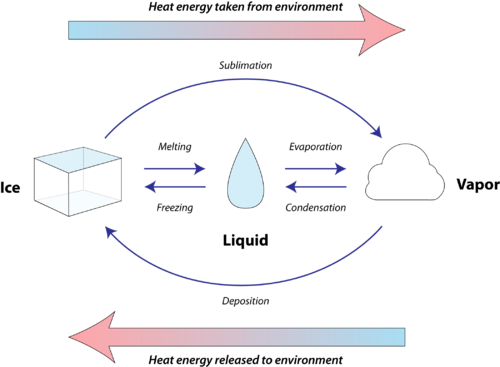 Diagram of phase changes in relation to gain or loss of heat from the environment