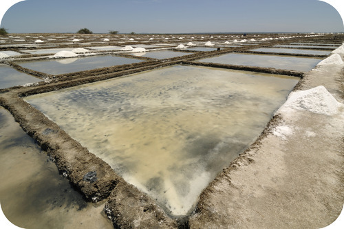 Salt is formed from evaporating saltwater