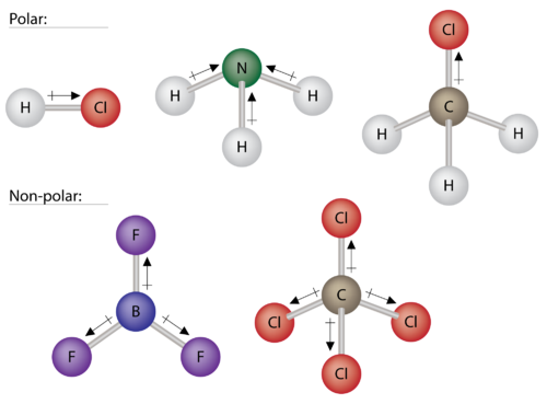 polar-and-nonpolar-molecules