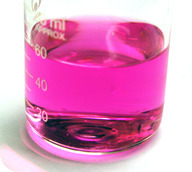 Phenolphthalein turns pink in basic solutions