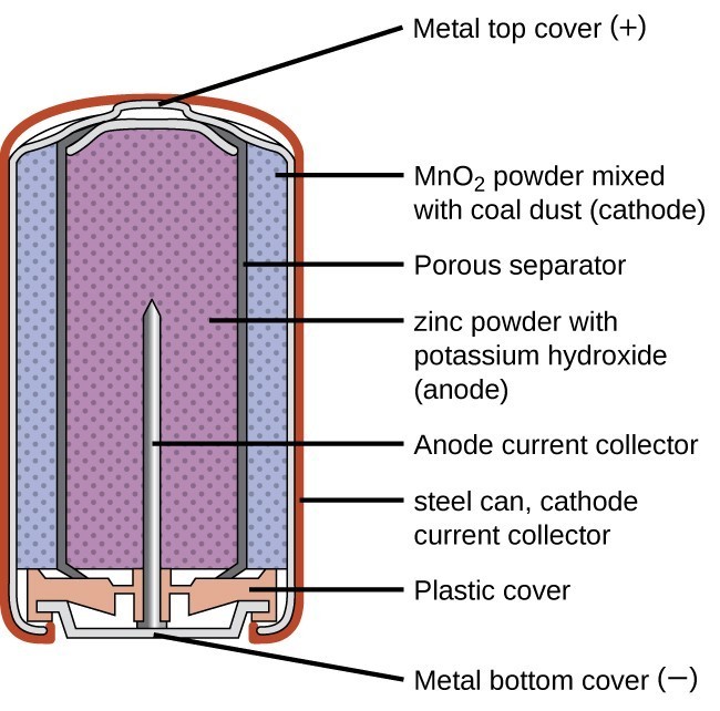 A diagram of a cross section of an alkaline battery is shown. The overall shape of the cell is cylindrical. The lateral surface of the cylinder, indicated as a thin red line, is labeled “Outer casing.” Just beneath this is a thin, light grey surface that covers the lateral surface and top of the battery. Inside is a blue region with many evenly spaced small darker dots, labeled “M n O subscript 2 (cathode).” A thin dark grey layer is just inside, which is labeled “Ion conducting separator.” A purple region with many evenly spaced small darker dots fills the center of the battery and is labeled “ zinc (anode).” The very top of the battery has a thin grey curved surface over the central purple region. The curved surface above is labeled “Positive connection (plus).” At the base of the battery, an orange structure, labeled “Protective cap,” is located beneath the purple and blue central regions. This structure holds a grey structure that looks like a nail with its head at the bottom and pointed end extending upward into the center of the battery. This nail-like structure is labeled “Current pick up.” At the very bottom of the battery is a thin grey surface that is held by the protective cap. This surface is labeled “Negative terminal (negative).”
