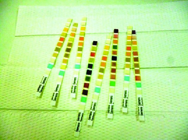 A photograph shows 8 test strips laid on paper toweling. Each strip contains 11 small sections of various colors, including yellow, tan, black, red, orange, blue, white, and green.