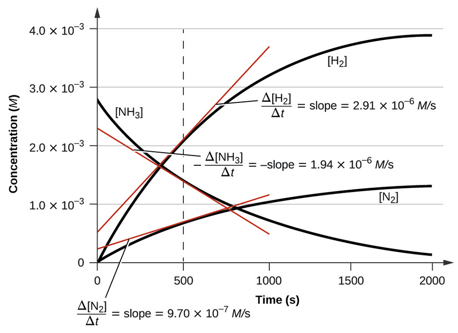 A graph is shown with the label, “Time ( s ),” appearing on the x-axis and, “Concentration ( M ),” on the y-axis. The x-axis markings begin at 0 and end at 2000. The markings are labeled at intervals of 500. The y-axis begins at 0 and includes markings every 1.0 times 10 superscript negative 3, up to 4.0 times 10 superscript negative 3. A decreasing, concave up, non-linear curve is shown, which begins at about 2.8 times 10 superscript negative 3 on the y-axis and nearly reaches a value of 0 at the far right of the graph at the 2000 marking on the x-axis. This curve is labeled, “[ N H subscript 3].” Two additional curves that are increasing and concave down are shown, both beginning at the origin. The lower of these two curves is labeled, “[ N subscript 2 ].” It reaches a value of approximately 1.25 times 10 superscript negative 3 at 2000 seconds. The final curve is labeled, “[ H subscript 2 ].” It reaches a value of about 3.9 times 10 superscript negative 3 at 2000 seconds. A red tangent line segment is drawn to each of the curves on the graph at 500 seconds. At 500 seconds on the x-axis, a vertical dashed line is shown. Next to the [ N H subscript 3] graph appears the equation “negative capital delta [ N H subscript 3 ] over capital delta t = negative slope = 1.94 times 10 superscript negative 6 M / s.” Next to the [ N subscript 2] graph appears the equation “negative capital delta [ N subscript 2 ] over capital delta t = negative slope = 9.70 times 10 superscript negative 7 M / s.” Next to the [ H subscript 2 ] graph appears the equation “negative capital delta [ H subscript 2 ] over capital delta t = negative slope = 2.91 times 10 superscript negative 6 M / s.”