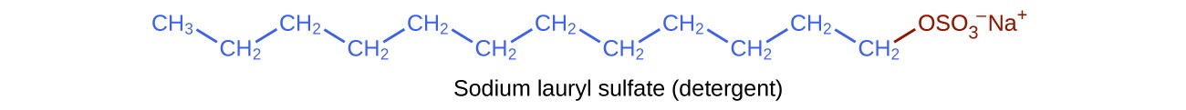 This figure shows a structural formula for a detergent known as sodium lauryl sulfate. A hydrocarbon chain composed of 12 carbon atoms and 25 hydrogen atoms is shown with an ionic end involving a negatively charged sulfur and four oxygen atoms at the ionic end of the chain. A positively charged N a superscript plus is also shown at the ionic end.