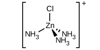 Inside of brackets, a central Z n atom is bonded to a C l atom and three N atoms in N H subscript 3 groups in a tetrahedral spatial arrangement. Short line segments are used to represent a bond extending above to the C l atom and down and to the left to the N of the N H subscript 3 group from the Z n atom. A dashed wedge with the vertex at the Z n atom and wide end at the N atom of an N H subscript 3 group is used to represent a bond down and to the right of the Z n atom. The final bond is indicated by a similar solid wedge again directed down and only slightly right of center beneath the Z n atom to the N of an N H subscript 3 group. Outside the brackets a superscript plus sign is shown.;