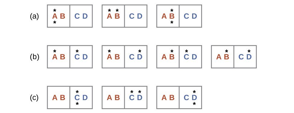 Three rows labeled a, b, and c are shown and each contains rectangles with two sides where the left side is labeled, “A,” and “B,” and the right is labeled, “C,” and “D.” Row a has three rectangles where the first has a dot above and below the letter A, the second has a dot above the A and B, and the third which has a dot above and below the letter B. Row b has four rectangles; the first has a dot above A and C, the second has a dot above A and D, the third has a dot above B and C and the fourth has a dot above B and D. Row c has three rectangles; the first has a dot above and below the letter C, the second has a dot above C and D and the third has a dot above and below the letter D.