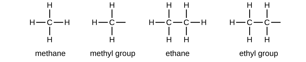 In this figure, methane is named and represented as C with four H atoms bonded above, below, to the left, and to the right of the C. The methyl group is shown, which appears like methane without the right most H. A dash remains at the location where the H was formerly bonded. Ethane is named and represented with two centrally bonded C atoms to which six H atoms are bonded; two above and below each of the two C atoms and to the left and right ends of the linked C atoms. The ethyl group appears as a similar structure with the right-most H atom removed. A dash remains at the location where the H atom was formerly bonded.