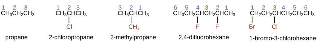 This figure shows structural formulas for propane, 2 dash chloropropane, 2 dash methylpropane, 2 comma 4 dash difluorohexane, and 1 dash bromo dash 3 dash chlorohexane. In each of the structures, the carbon atoms are in a row with bonded halogen atoms and a methyl group bonded below the figures. Propane is listed as simply C H subscript 3 C H subscript 2 C H subscript 3, with the numbers 1, 2, and 3 appearing above the carbon atoms from left to right. 2 dash chloropropane similarly shows C H subscript 3 C H C H subscript 3, with the numbers 1, 2, and 3 appearing above the carbon atoms from left to right. A C l atom is bonded below carbon 2. The C l atom is red. 2 dash methylpropane similarly shows C H subscript 3 C H C H subscript 3, with the numbers 3, 2, and 1 appearing above the carbon atoms from left to right. A C H subscript 3 group is bonded beneath carbon 2 and is red. 2 comma 4 dash difluorohexane similarly shows C H subscript 3 C H subscript 2 C H C H subscript 2 C H C H subscript 3, with the numbers 6, 5, 4, 3, 2, and 1 appearing above the carbon atoms from left to right. F atoms are bonded to carbons 4 and 2 at the bottom of the structure and are red. 1 dash bromo dash 3 dash chlorohexane similarly shows C H subscript 2 C H subscript 2 C H C H subscript 2 C H subscript 2 C H subscript 3, with numbers 1, 2, 3, 4, 5, and 6 appearing above the carbon atoms from left to right. B r is bonded below carbon 1 and C l is bonded below carbon 3. Both B r and C l are red.