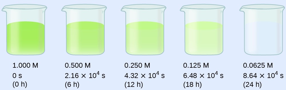 A diagram of 5 beakers is shown, each approximately half-filled with colored substances. Beneath each beaker are three rows of text. The first beaker contains a bright green substance and is labeled below as, “1.000 M, 0 s, and ( 0 h ).” The second beaker contains a slightly lighter green substance and is labeled below as, “0.500 M, 2.16 times 10 superscript 4 s, and ( 6 h ).” The third beaker contains an even lighter green substance and is labeled below as, “0.250 M, 4.32 times 10 superscript 4 s, and ( 12 h ).” The fourth beaker contains a green tinted substance and is labeled below as, “0.125 M, 6.48 times 10 superscript 4 s, and ( 18 h ).” The fifth beaker contains a colorless substance and is labeled below as, “0.0625 M, 8.64 times 10 superscript 4 s, and ( 24 h ).”