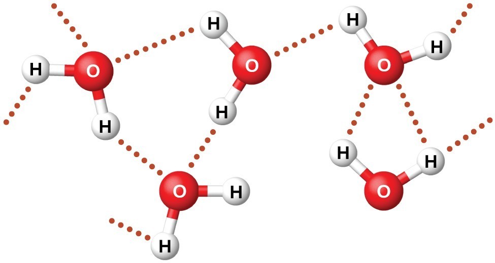 diagram of water molecules