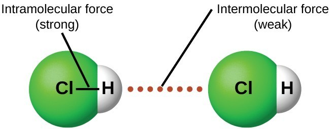 A diagram showing a strong internal intramolecular force and a weak external intermolecular force.