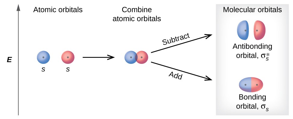 A diagram is shown that depicts a vertical upward-facing arrow that lies to the left of all the other portions of the diagram and is labeled, “E.” To the immediate right of the midpoint of the arrow are two circles each labeled with a positive sign, the letter S, and the phrase, “Atomic orbitals.” These are followed by a right-facing horizontal arrow that points to the same two circles labeled with plus signs, but they are now touching and are labeled, “Combine atomic orbitals.” Two right-facing arrows lead to the last portion of the diagram, one facing upward and one facing downward. The upper arrow is labeled, “Subtract,” and points to two oblong ovals labeled with plus signs, and the phrase, “Antibonding orbitals sigma subscript s superscript asterisk.” The lower arrow is labeled, “Add,” and points to an elongated oval with two plus signs that is labeled, “Bonding orbital sigma subscript s.” The heading over the last section of the diagram are the words, “Molecular orbitals.”