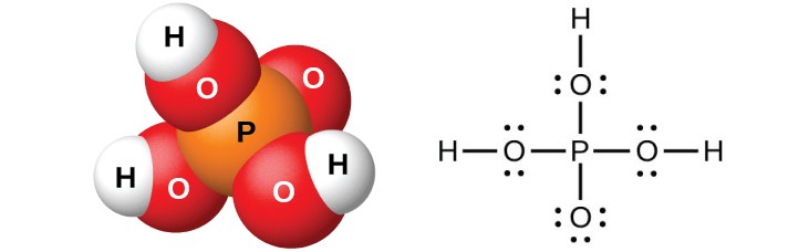 Figure 11. Orthophosphoric acid, H3PO4, is colorless when pure and has this molecular (left) and Lewis structure (right).