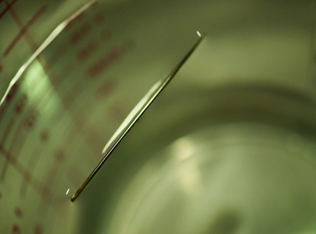 photograph of a steel needle floating on water