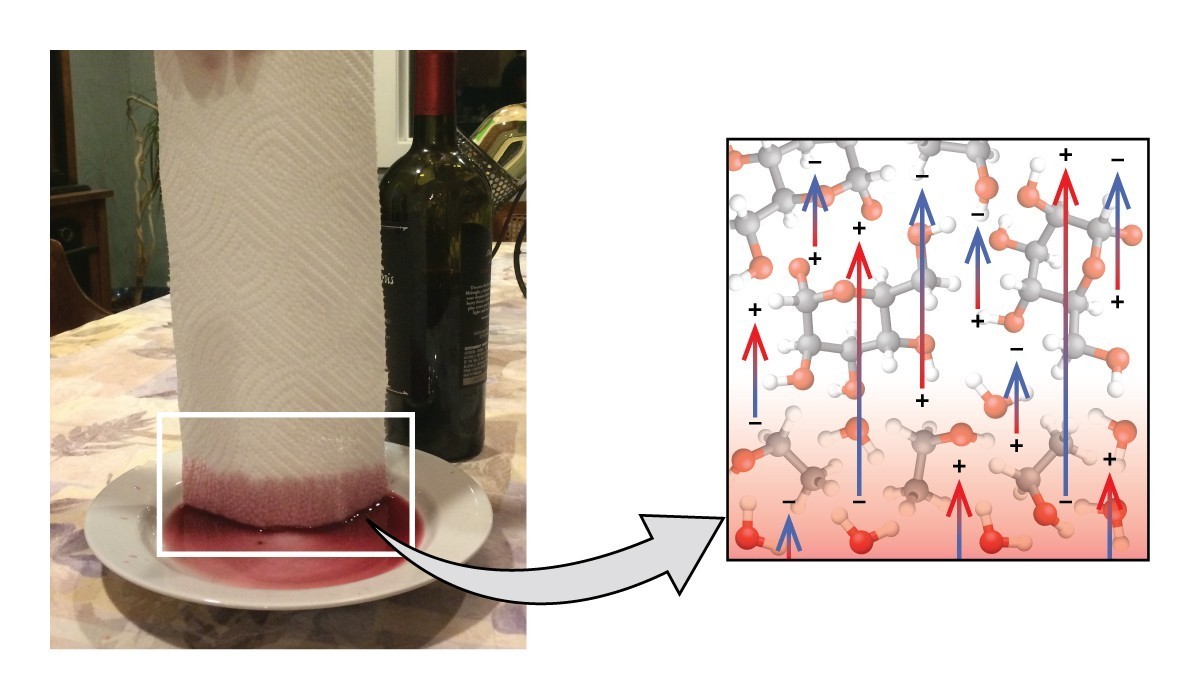 on the left is a photo of a paper towel soaking up wine from a plate. On the right is an illustration of of the capillary action at work.