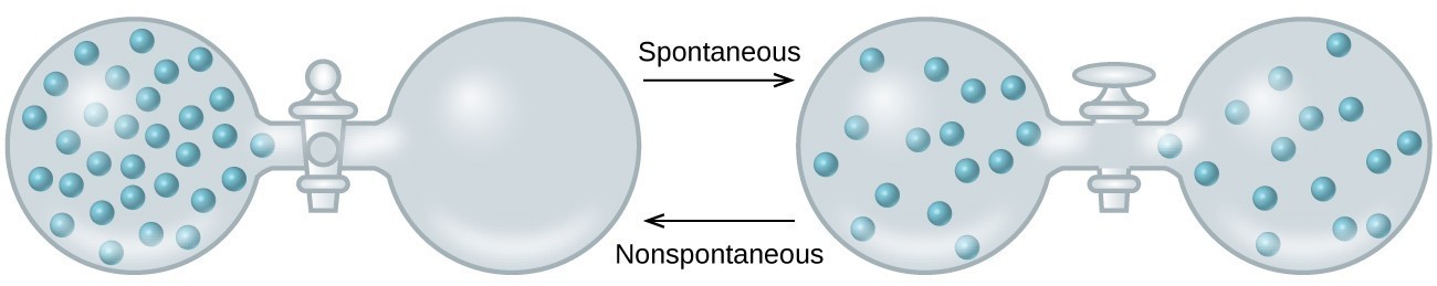 A diagram shows two two-sided flasks connected by a right-facing arrow labeled “Spontaneous” and a left-facing arrow labeled “Nonspontaneous.” Each pair of flasks are connected to one another by a tube with a stopcock. In the left pair of flasks, the left flask contains thirty particles evenly dispersed while the right flask contains nothing and the stopcock is closed. The right pair of flasks has an open stopcock and equal numbers of particles in both flasks.
