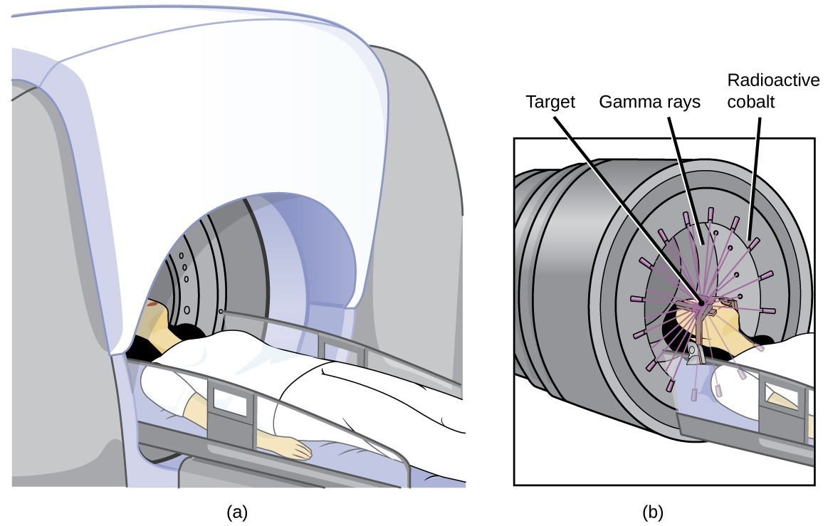 Two diagrams are shown and labeled “a” and “b.” Diagram a shows a woman lying on a horizontal table with is being inserted into a dome-shaped machine. Diagram b shows a closer view of the woman’s head and upper torso in the machine. A series of beams, labeled “Gamma rays,” are shown to exit from slits in the edges of the machine, labeled “Radioactive cobalt,” and to penetrate her head, which is labeled “Target.”