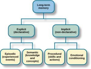 Information processing approach to memory hot sale