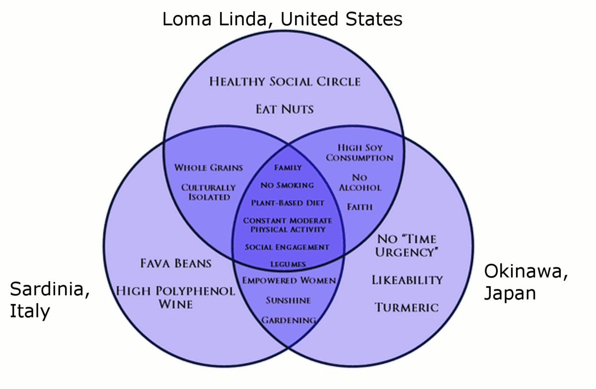 Physical and cognitive 2024 development in late adulthood