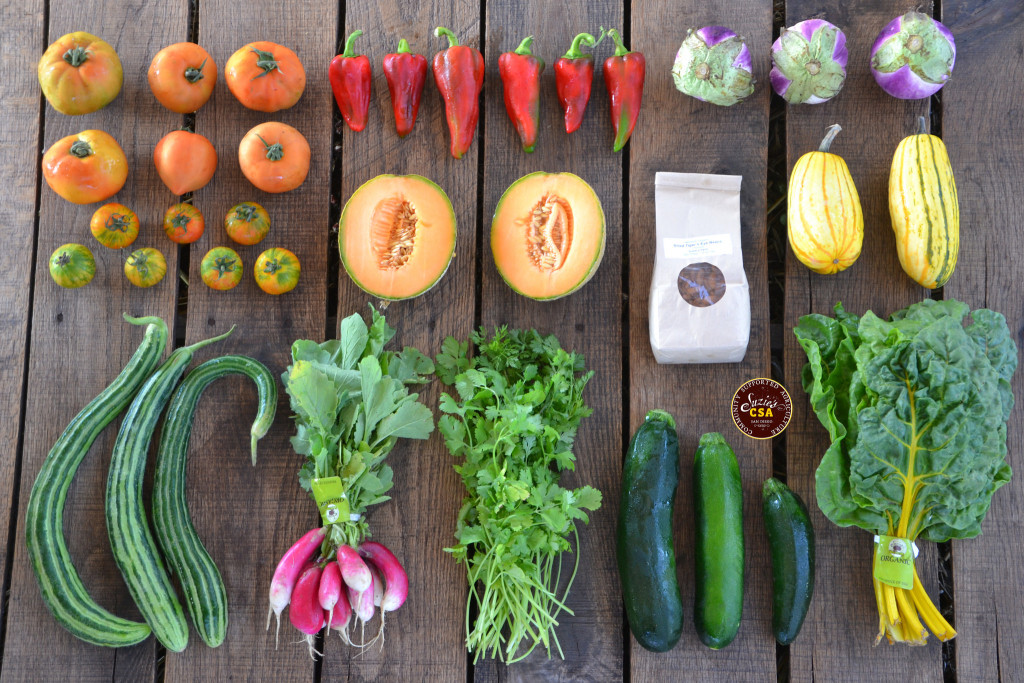 Photo of the fruits and vegetables in a CSA box from a farm in California. Pictured are French radishes, cucumbers, yellow Swiss chard, red peppers, yellow squash, tomatoes, cilantro, eggplants, and almonds