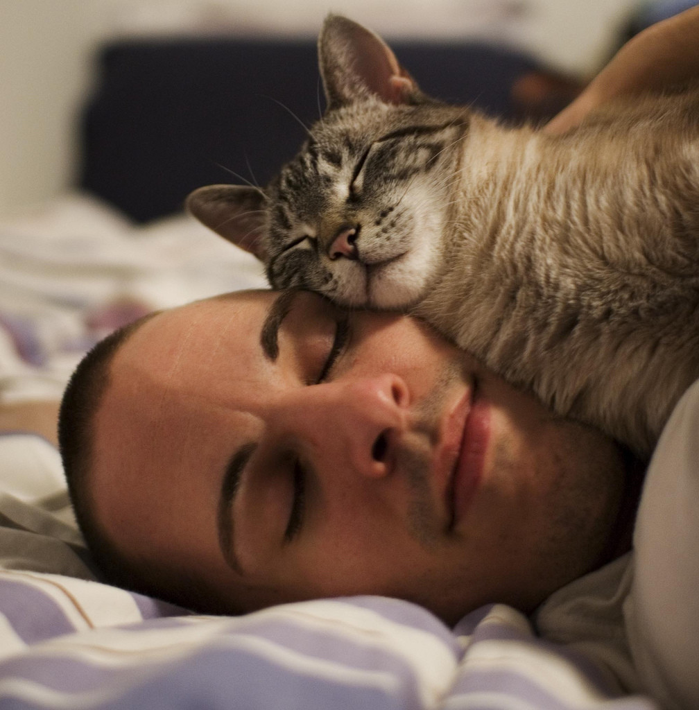 Photograph of a man asleep, with a a cat, also asleep, snuggled across his cheek.