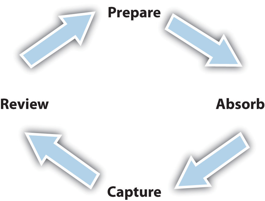 prepare - absorb - capture - review