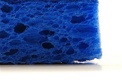 blue sponge close-up