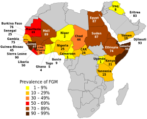 https://upload.wikimedia.org/wikipedia/commons/d/dc/FGM_prevalence_UNICEF_2016.svg