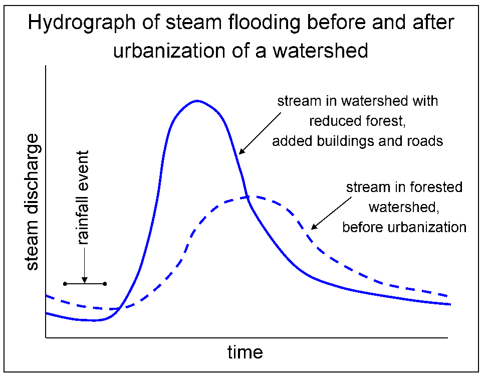 Hydrograph of steam flooding before and after urbanization of a water shed. There are two graphs: (1) stream in watershed with reduced forest, added buildings and roads and (2) stream in forested watershed, before urbanization. Graph 1 has low steam discharge initially, which rapidly increases after a rainfall event, and then rapidly decreases as well. Graph 2 has a low steam discharge initially, which grows slowly after a rainfall event, and then slowly decreases as well. Graph 1 has a peak about 1/3 taller than graph 2.