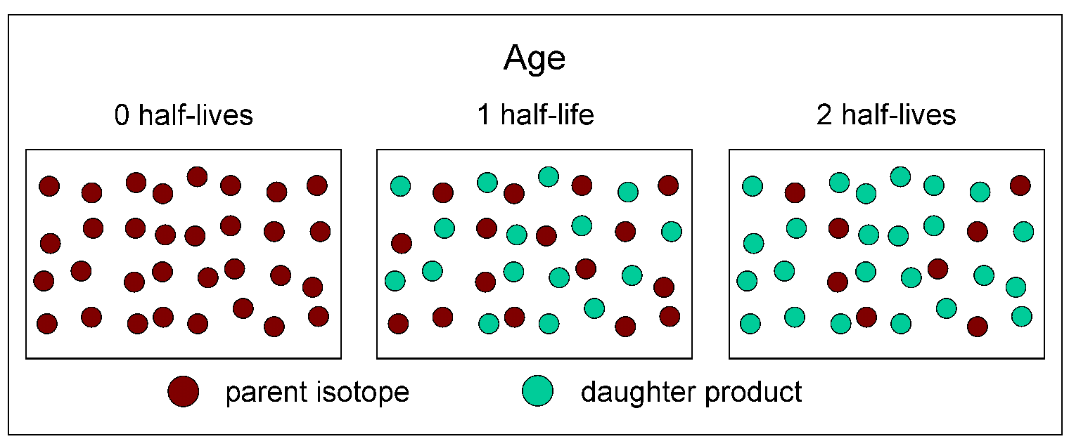 carbon dating principles