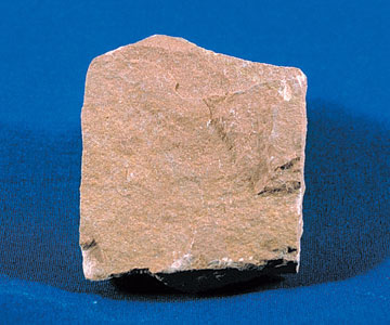 Siltstone, a fine-grained stone