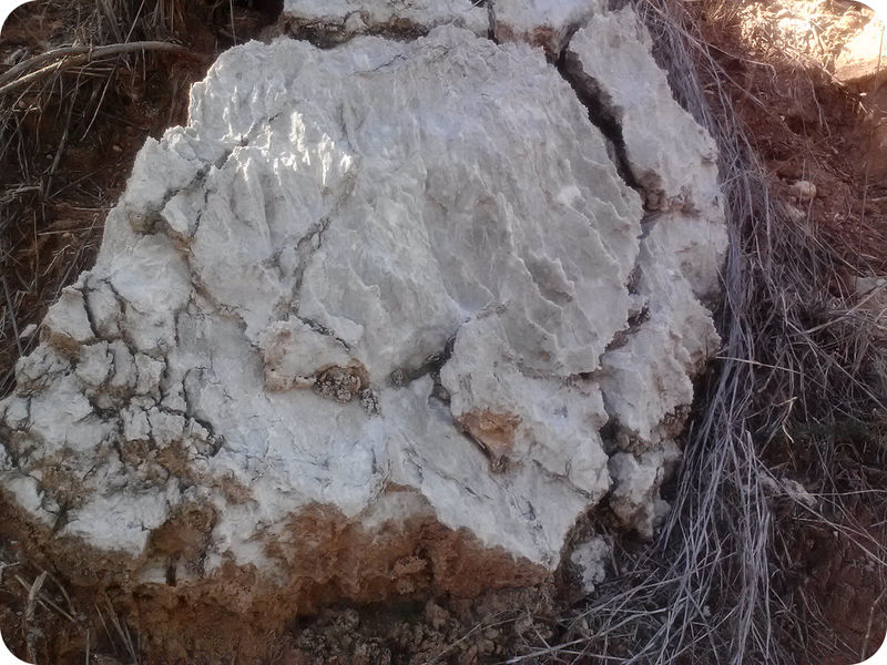 Gypsum, a soft white or gray mineral