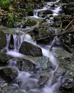 Stream running down a mountain; the water flows over rocks and trees. The water flow is not as concentrated as in a river.