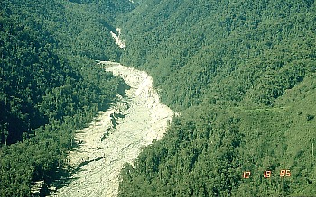 River flowing through a forest; the river is mixed with rock fragments, making the water appear ashy and thick.