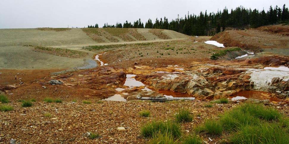 Acidic runoff at the abandoned Mt. Washington Mine near Courtenay, B.C