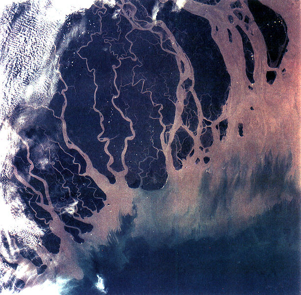 The Ganges Delta in India and Bangladesh is the largest delta in the world and it is also one of the most fertile regions in the world.