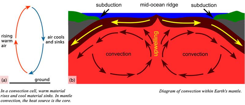 In a convection cell, warm material rises and cool material sinks. In mantle convection, the heat source is the core. As the hot material rises and circles, the earth's crust moves. In the mid ocean ridge, two convection currents move the plates apart from each other in subduction.