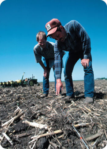 Figure 4. A pair of farmers take careful measurements in the field.