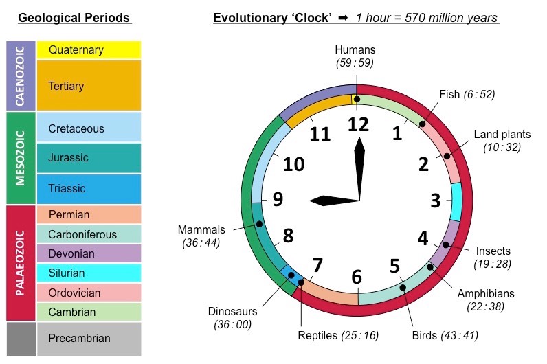 Geologic Time Scale — Earth@Home