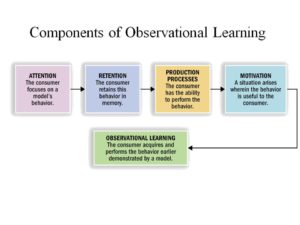 Social cognitivism learning online theory