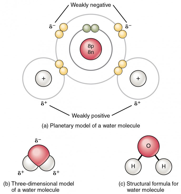 The Influence of⁤ Molecular‌ Shape on ‌Bond Polarity