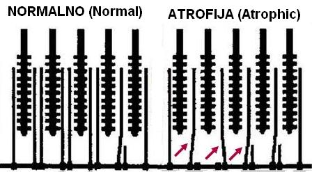 Comparison Diagram