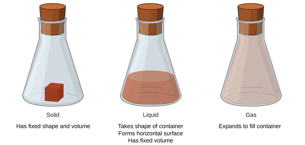 Comparing the Volumes of Liquids in Different Containers 