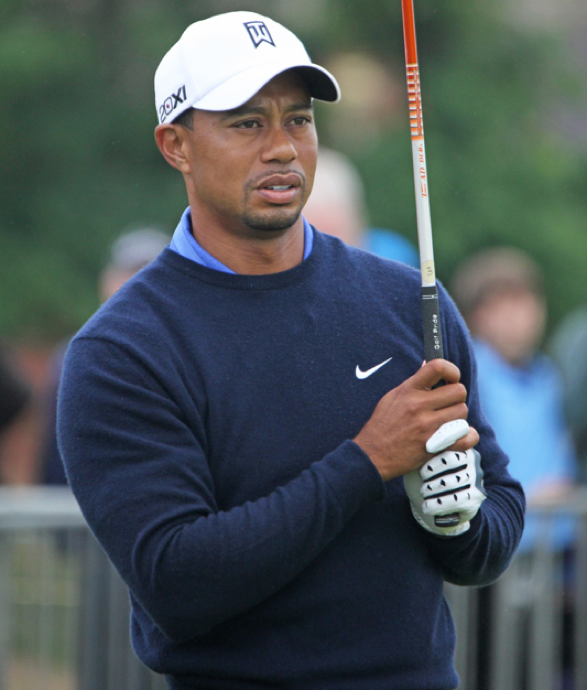 Golfer Tiger Woods has Chinese, Thai, African American, Native American, and Dutch heritage. Individuals with multiple ethnic backgrounds are becoming more common.